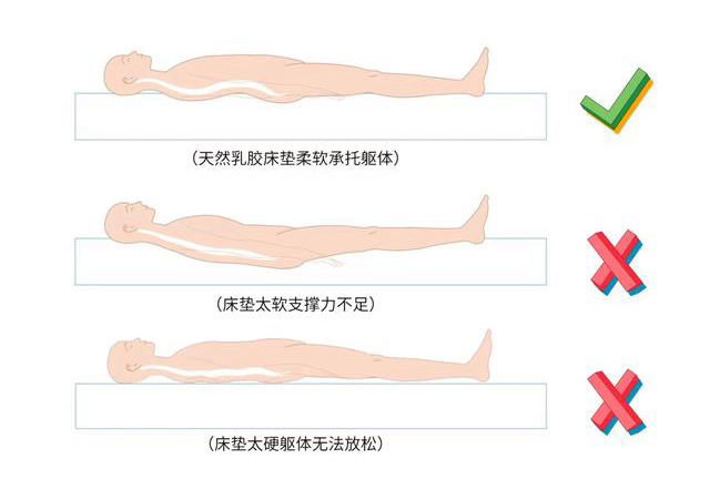 乳胶床垫哪一种好,怎么样的乳胶床垫才是好的