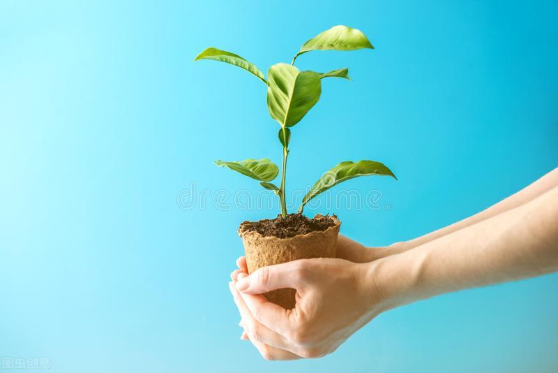 网约车三证合一处罚,网约车三证不合正规吗