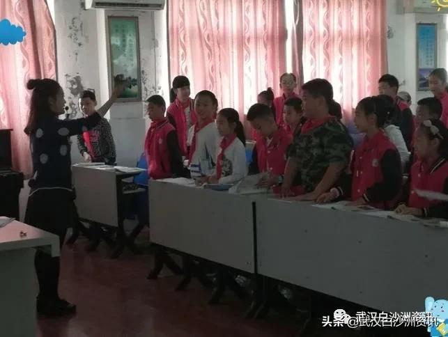 白沙洲青菱片区有哪些小学,白沙洲青菱小学怎样
