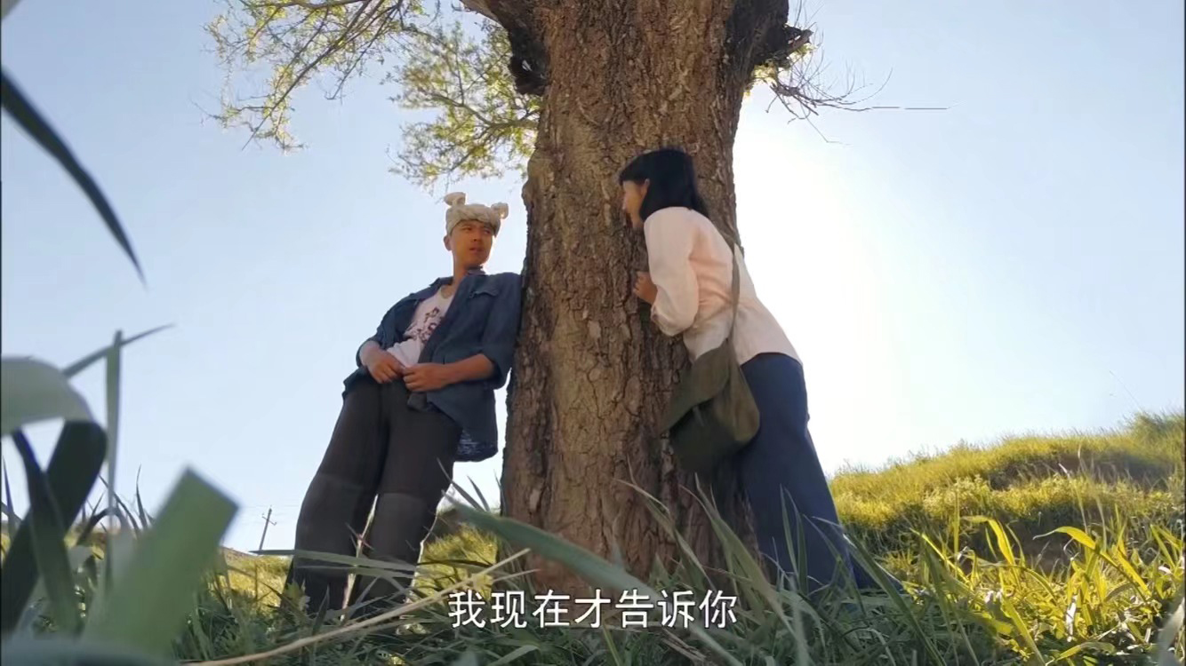 以田润叶视角打开平凡的世界,平凡的世界对田润叶的评价