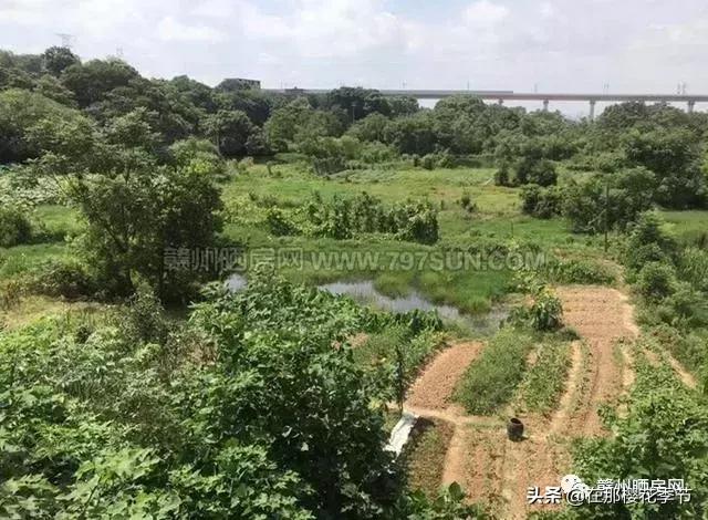 赣州最近拍卖的地块,赣州西城区开发区地块拍卖