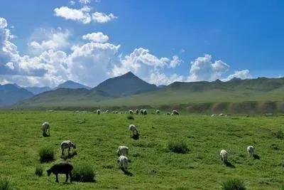 新疆南疆日记,新疆南疆旅游日记