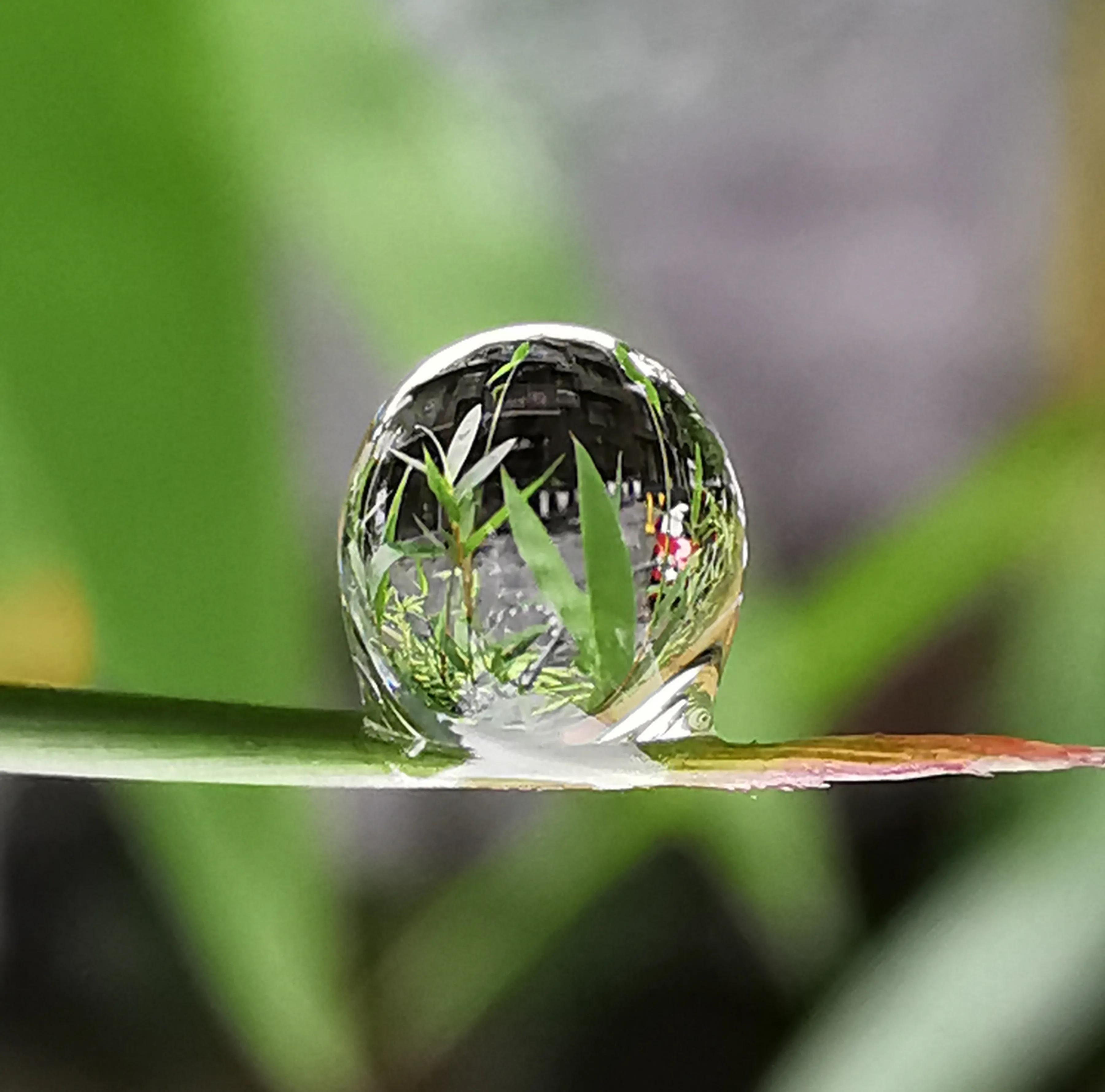 手机摄影手册圈友作品选第7期,手机摄影手册圈友作品选第6期