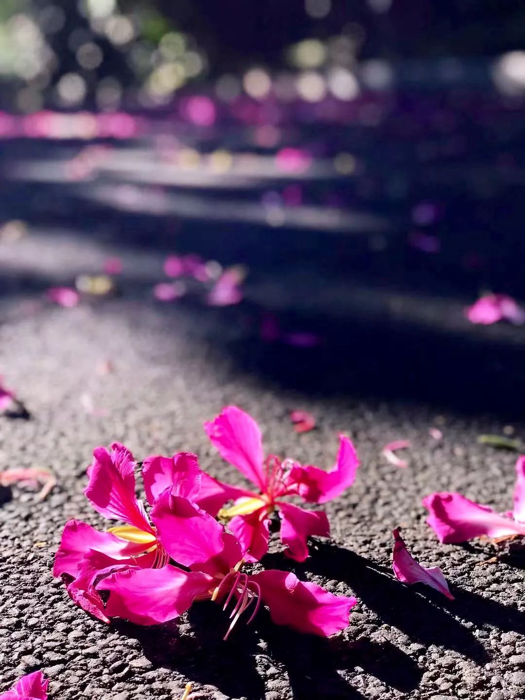 三亚这家口碑爆棚的酒店,三亚酒店最好看的一家