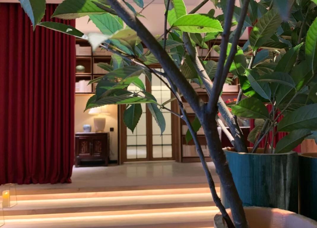 黄山徽州古城民宿,黄山黎阳in巷民宿