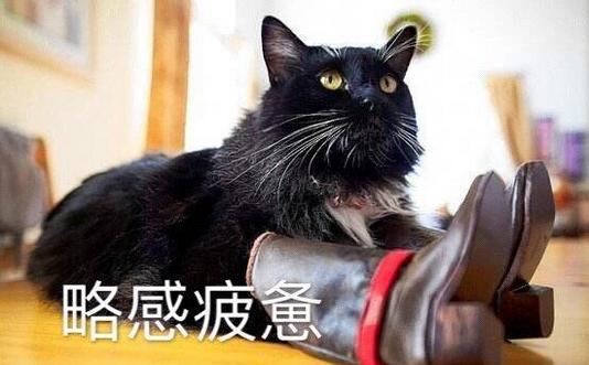 王俊凯穿高筒靴,王俊凯穿靴子