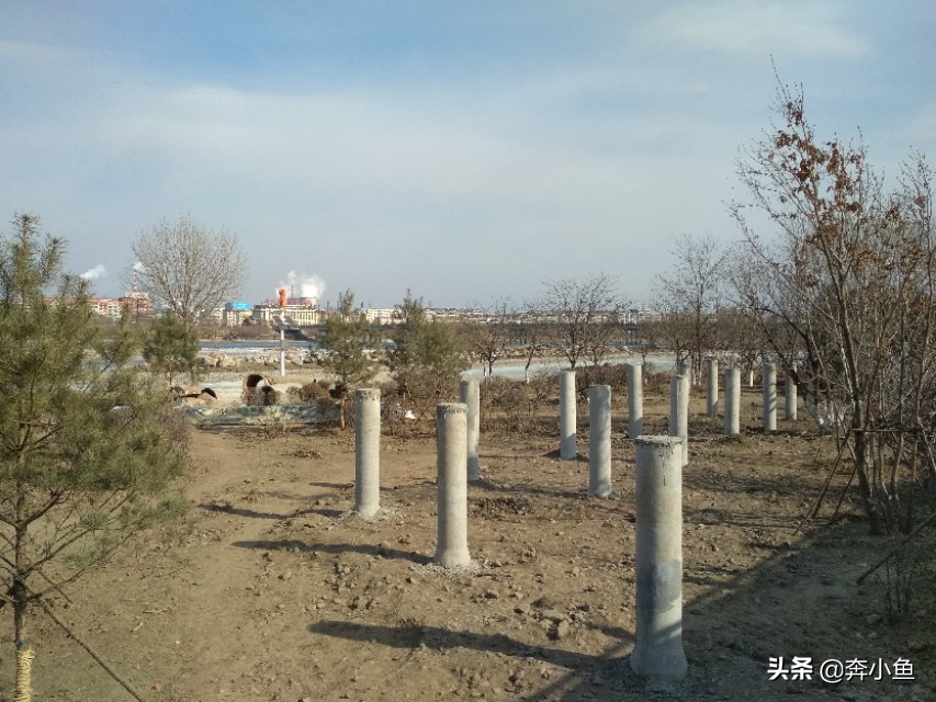 吉林市松花江生态旅游风景区,吉林松花江湿地公园