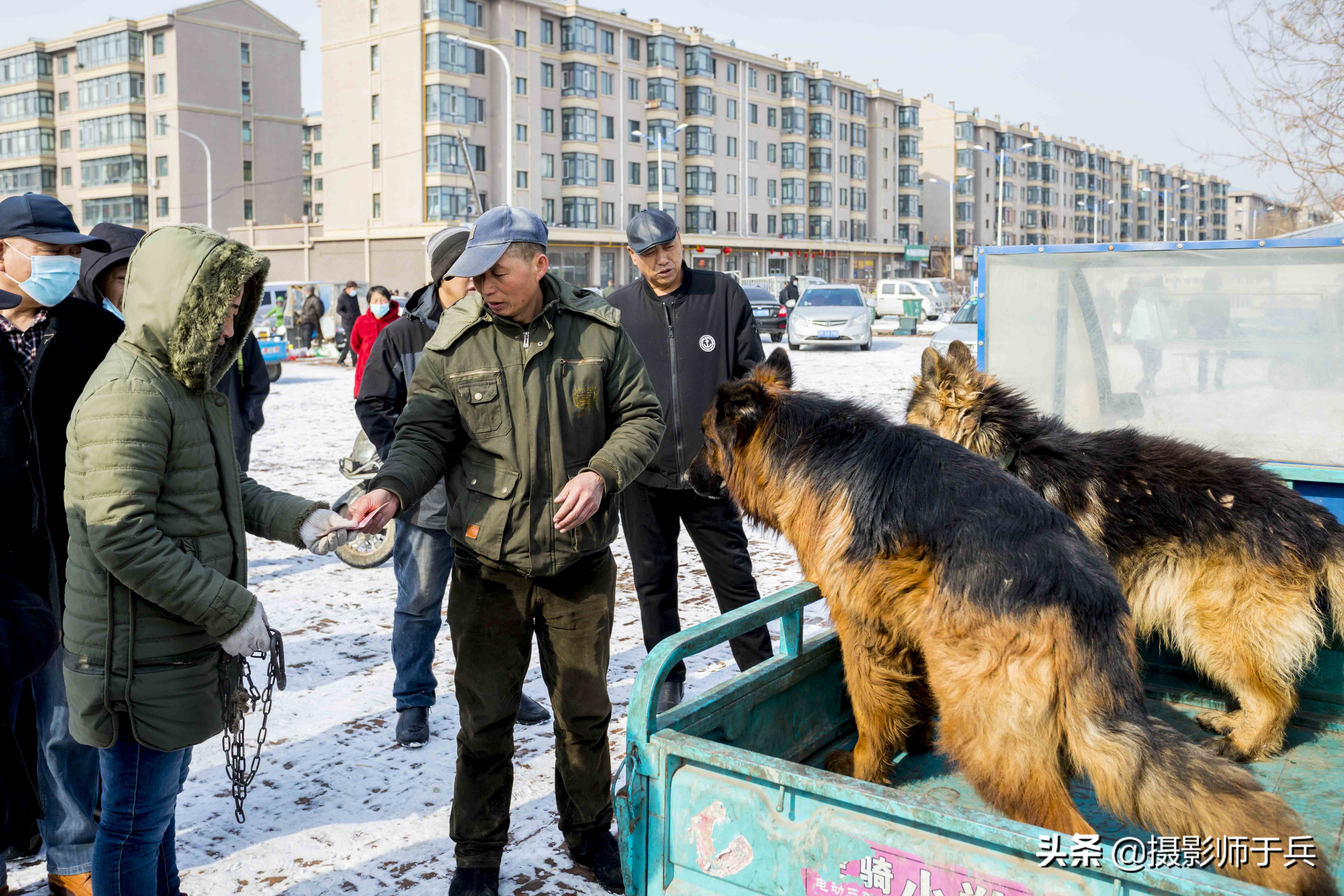 绥化安达狗市,黑龙江省绥化故事之一