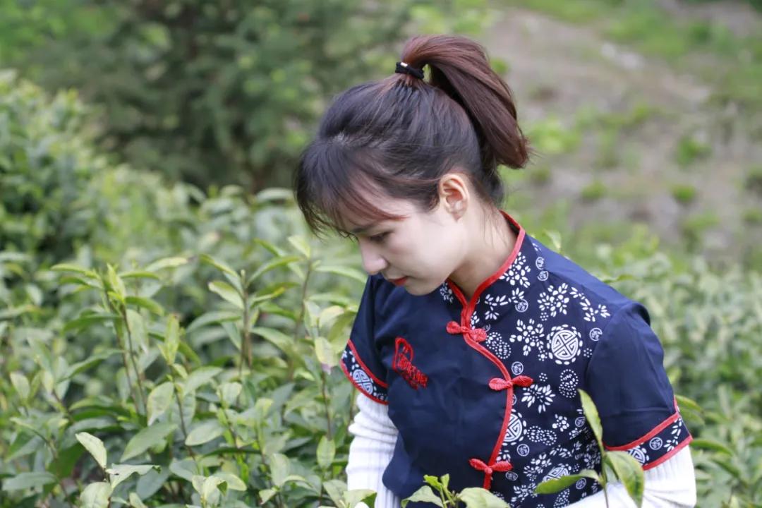 红色“吕”行，畅游溪口！