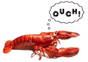 龙门小龙虾烧烤,夏天路边大排档撸串啤酒小龙虾