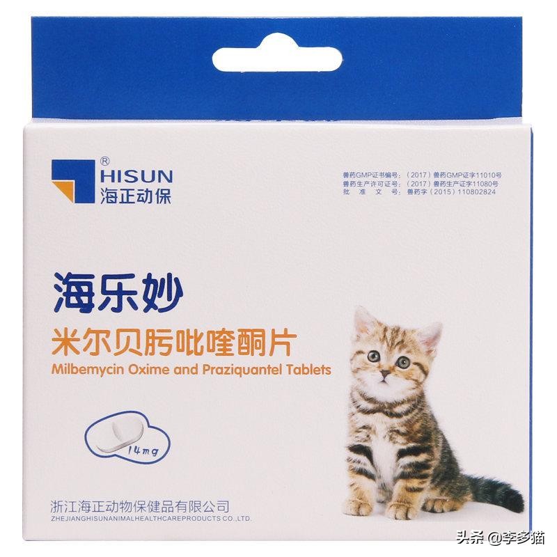 新手养猫必看一招搞定猫咪驱虫,养宠须知这份猫咪驱虫指南请收好