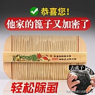 虱子虮子跳蚤的区别,虱子和虮子怎么消失的