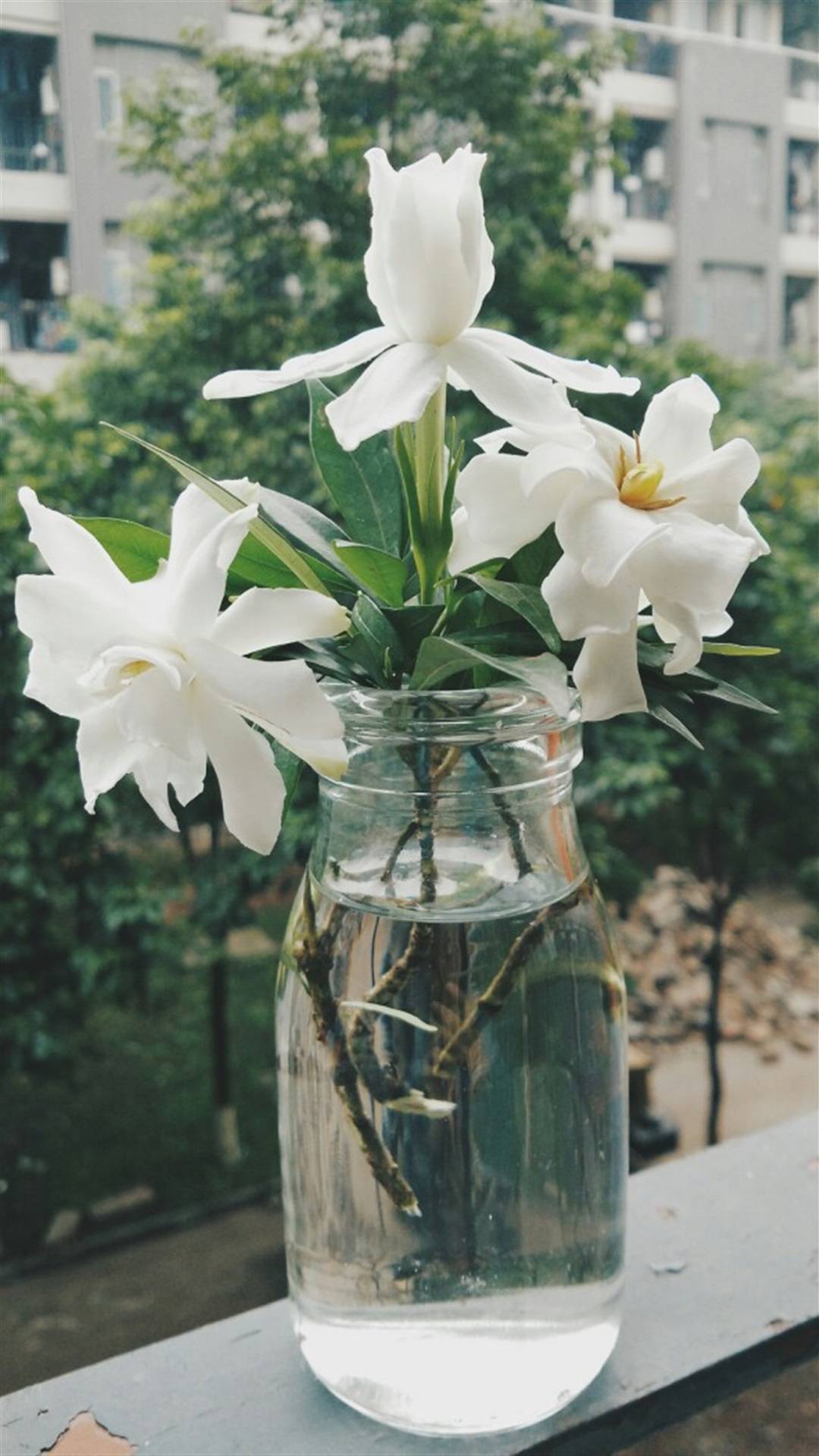 武汉恒发科技有限公司怎么样,武汉恒发科技有限公司简介