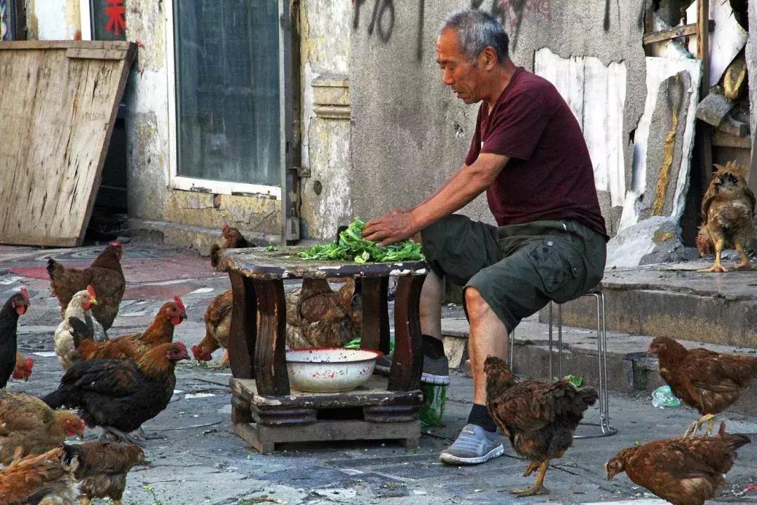 哈尔滨老道外百年老街走走,哈尔滨怀旧老道外