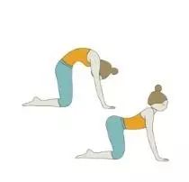 一套60分钟扭转核心瑜伽练习完整序列（收藏级）