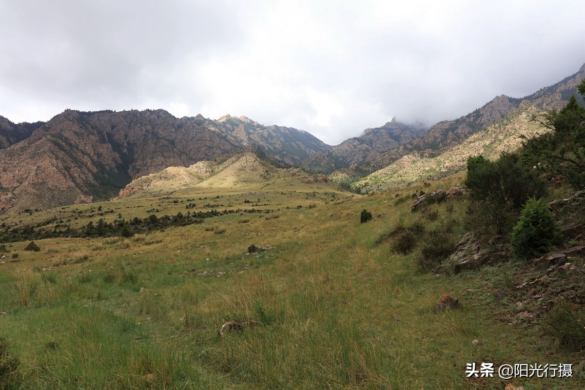静谧森林和沙漠交界处,静谧森林红色石头