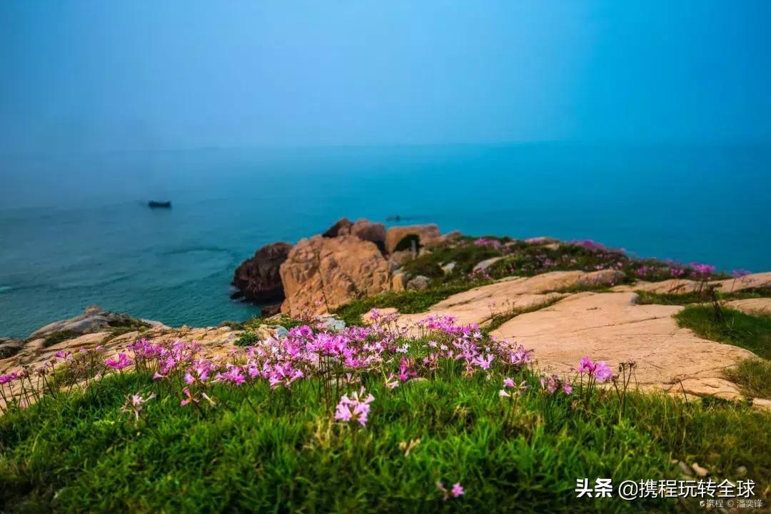 上海周边山一日游推荐,普陀山游两日游报价
