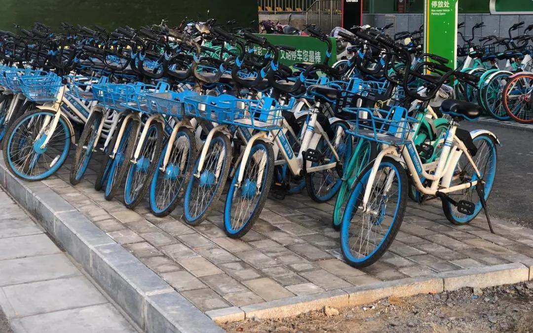 十年前的郑州五中,我心目中的郑州五中