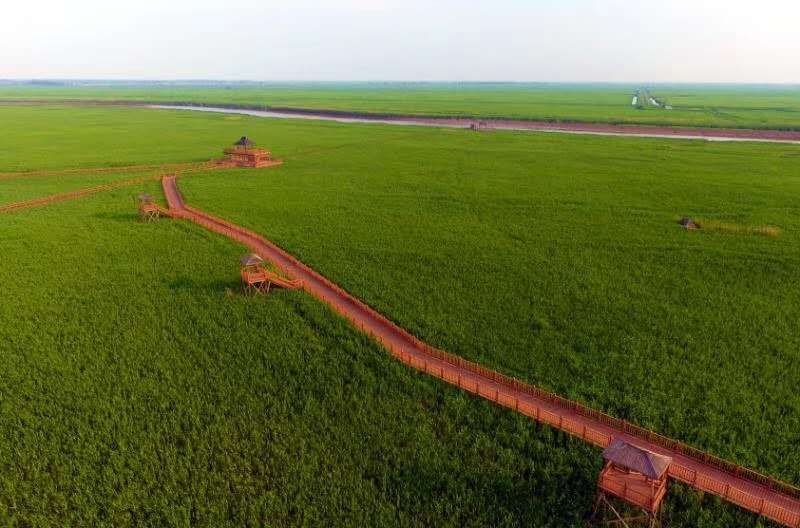 盘锦地区旅游,盘锦旅游景点中最靓丽的名片