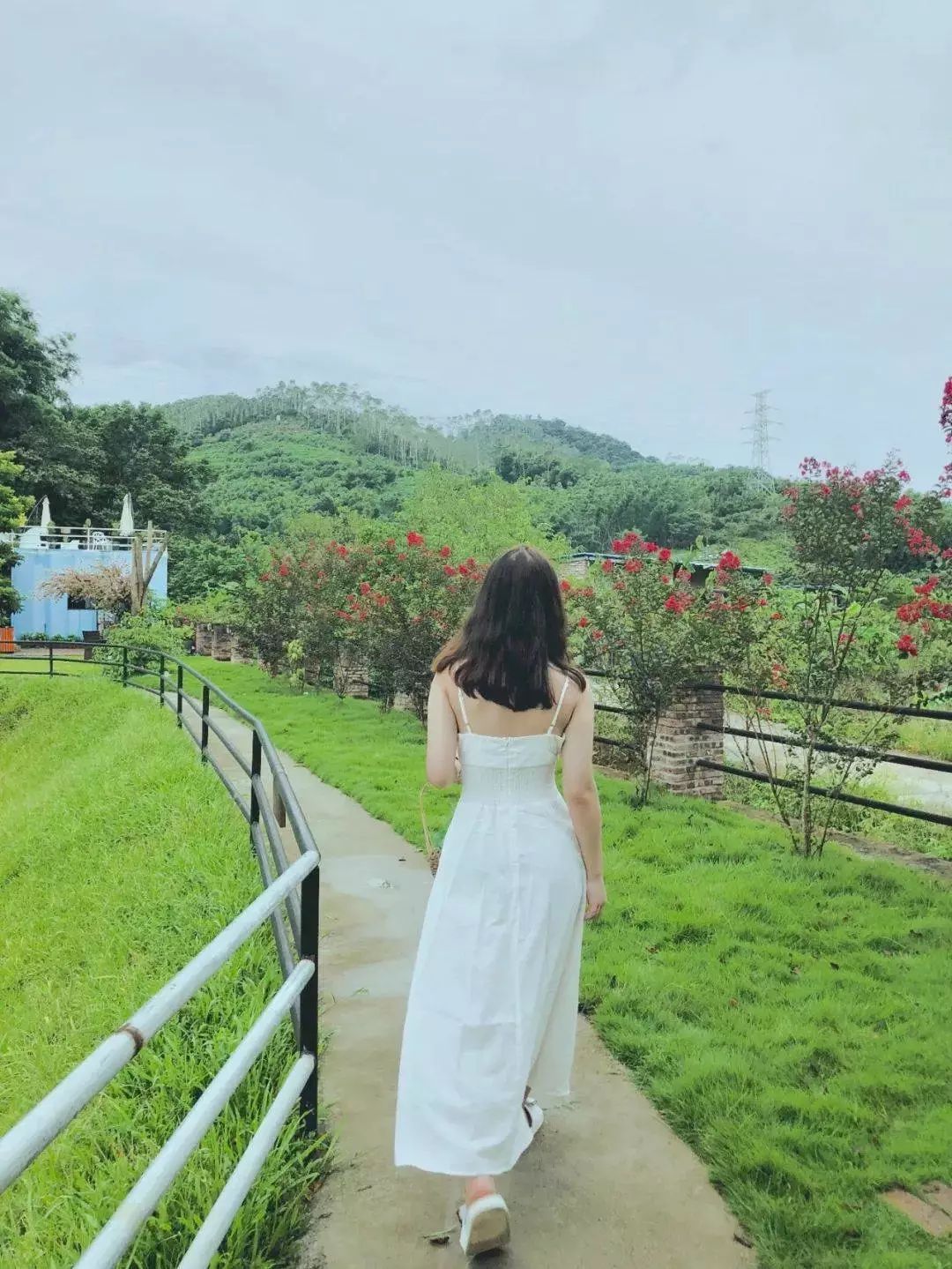 藏于稻田竹海中的增城轻奢民宿,广州增城中新镇三天两夜民宿推荐