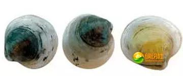 舟山海鲜代加工攻略,最全舟山海鲜攻略