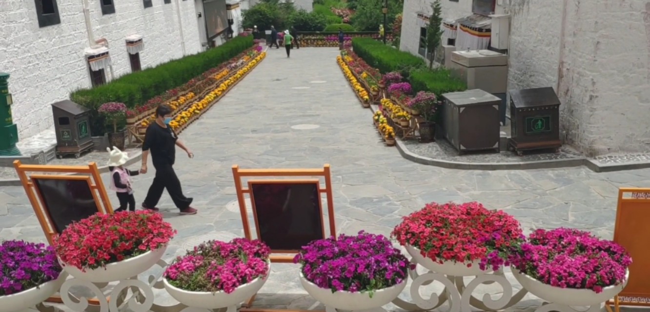 拉萨游记布达拉,西藏游第十一天拉萨布达拉宫广场