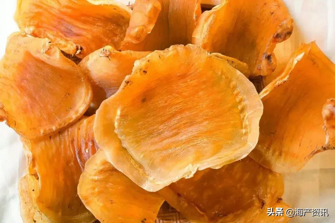 花胶正宗做法大全,花胶高级吃法做法大全