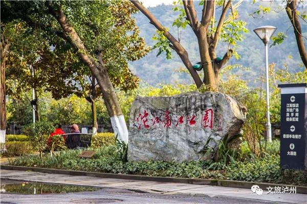 泸州的腊梅花在什么地方,泸州腊梅花观赏