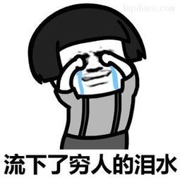 烘焙零基础入门必备工具,烘焙入门十大必备工具