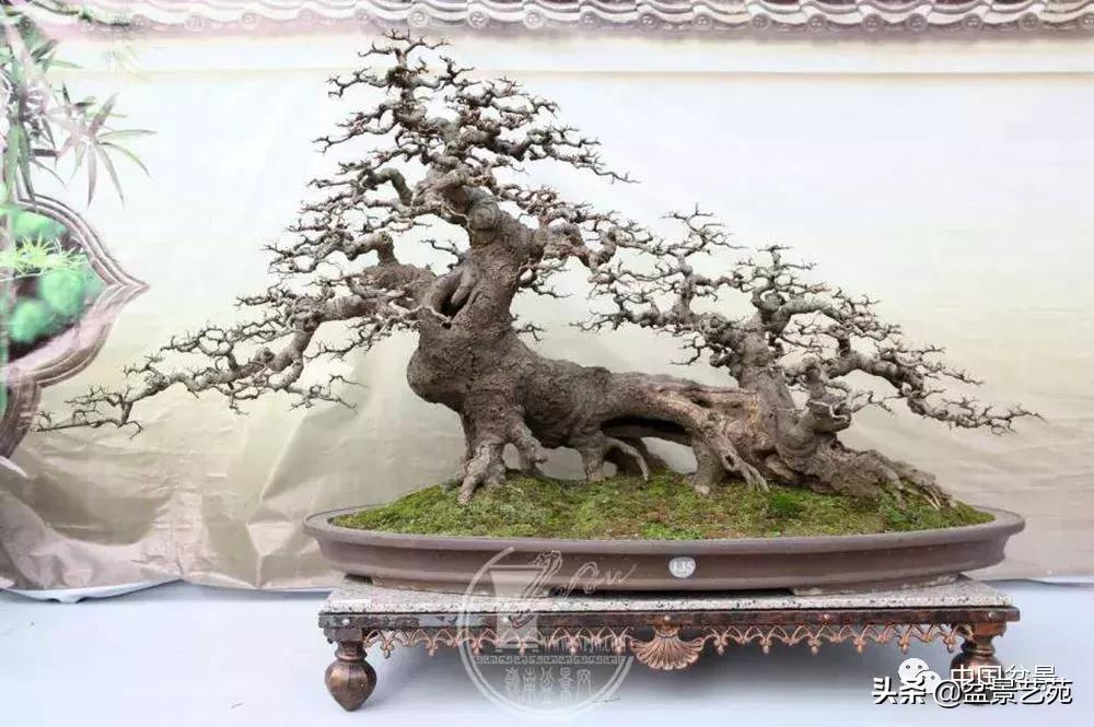 鏈存爲寰楀鐩嗘櫙,椤剁骇鏈存爲鐩嗘櫙娆ｈ祻