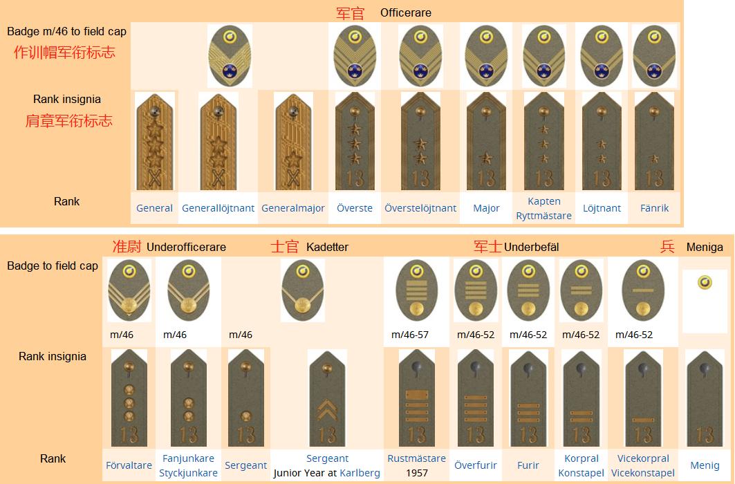 瑞典王国军力展示,瑞典王国士兵