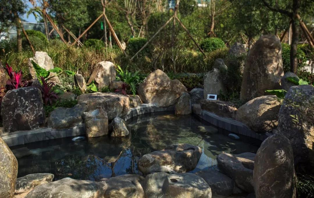 占地9200亩,光配套就7700亩!深圳东这个超级神盘,才配叫生活