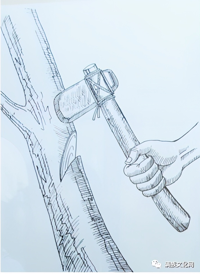 上古玉钺祈佑王权（定稿）