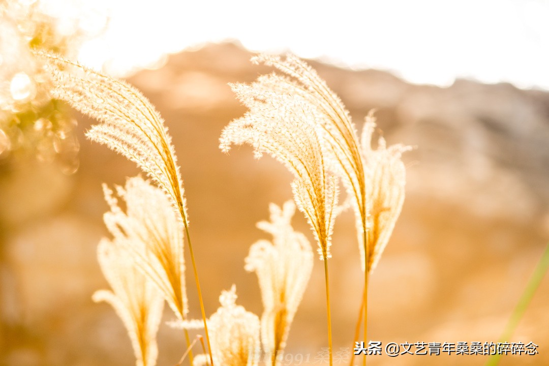 牛首山佛顶宫游览顺序,牛首山佛顶宫初体验