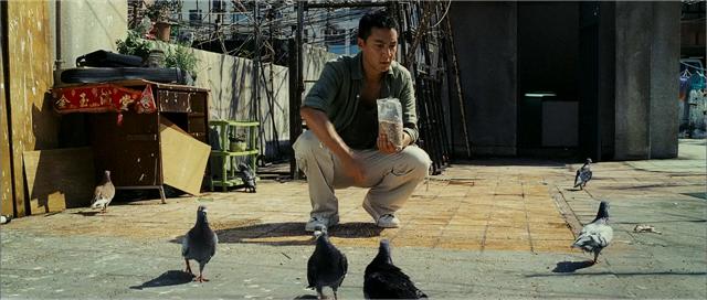 刘德华古天乐门徒后再飙戏,门徒刘德华试探古天乐