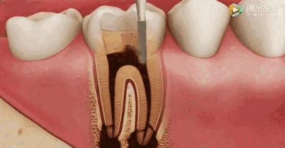 上海雅悦齿科,雅悦齿科医院简介