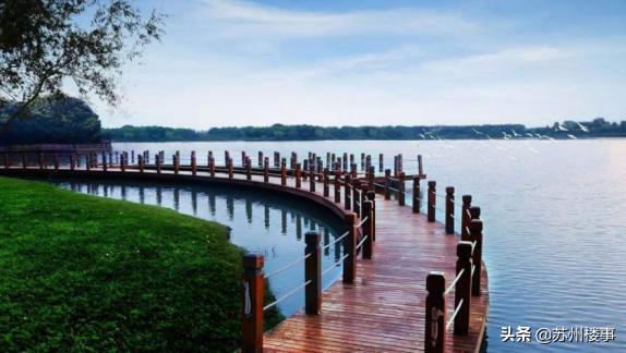 鲁能泰山9号叠墅,鲁能泰山9号苏州样板间