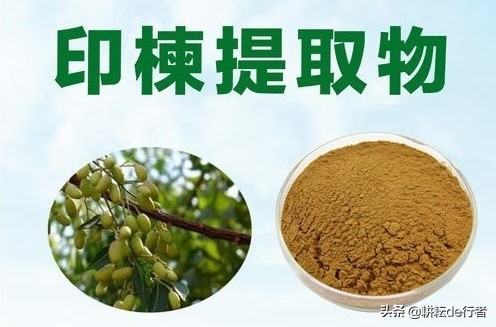 定了！2020年生物源农药发展新方向