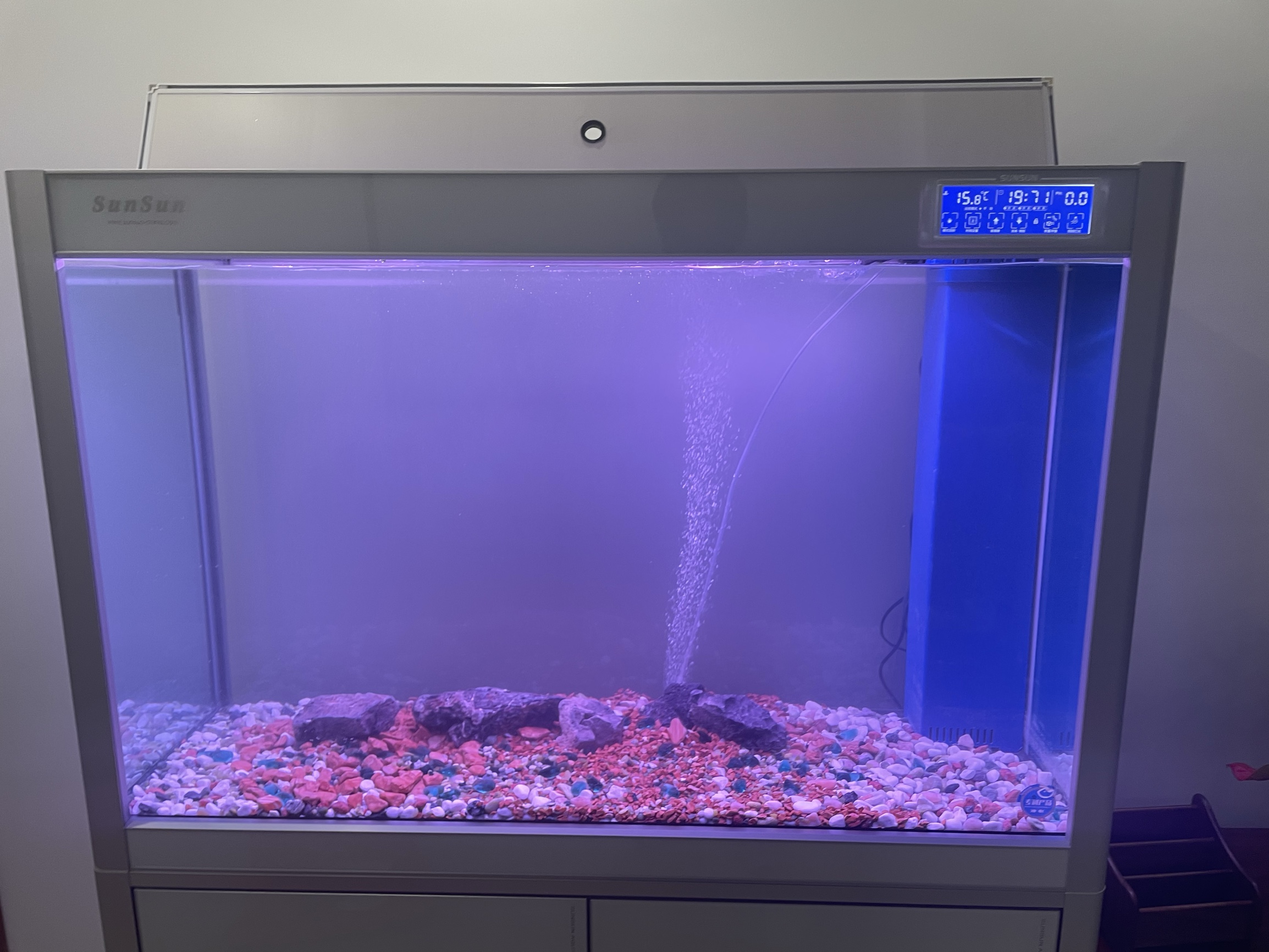 底滤鱼缸里鱼粪排不出去,底滤鱼缸鱼屎吸不走怎么办