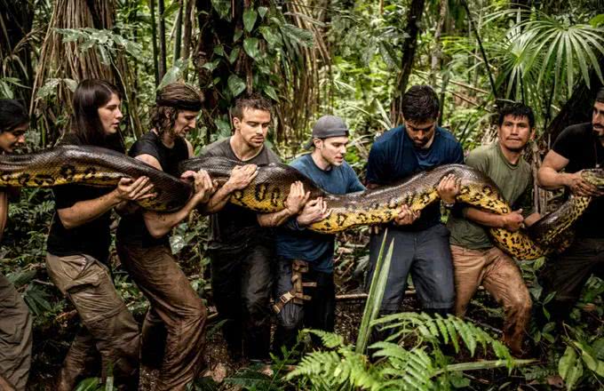 世界上巨无霸的巨蛇是什么,世界上40斤的巨蛇