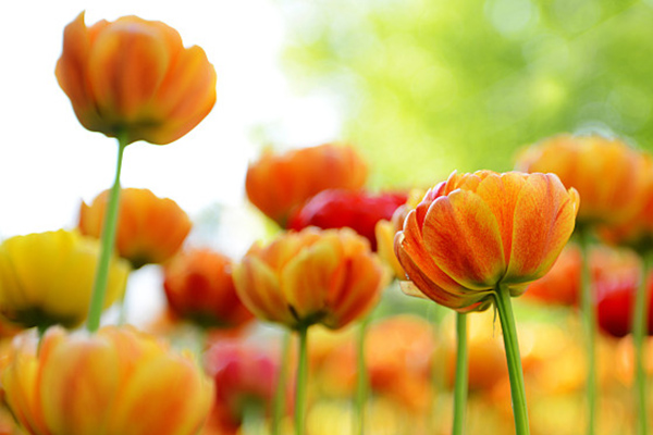 一千元小本创业机器,一千元小本创业生意