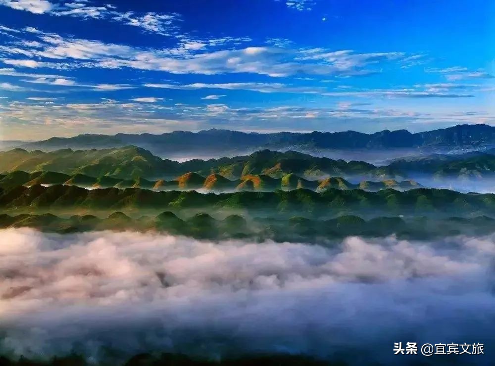 国内赏竹,中国人赏竹