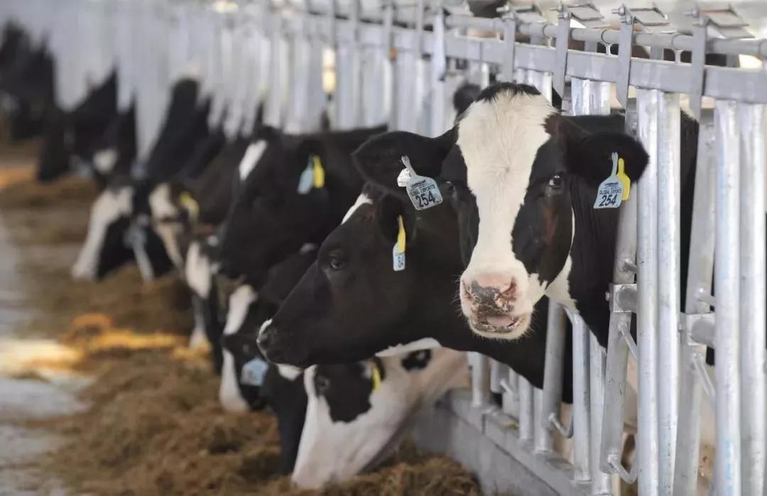 老宁波土特产好吃吗,宁波老味道美食有哪些