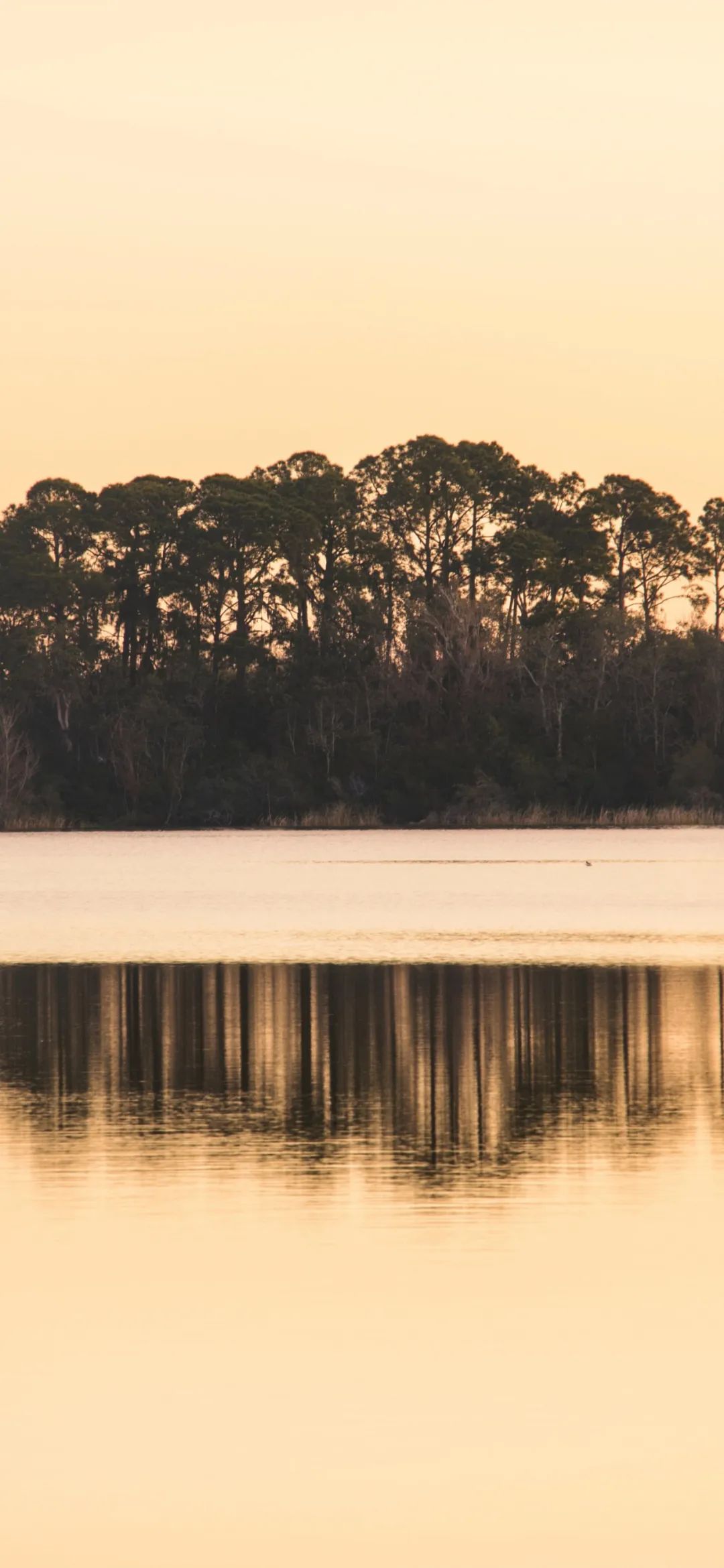 小清新全屏壁纸高清,小清新高清壁纸4k全屏无水印
