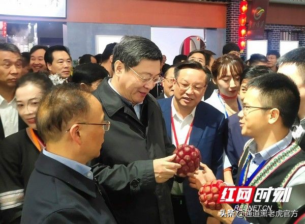 被省委书记惦记的通道小伙，正带村民种山果致富（转载）