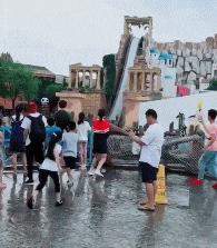 这只鹦鹉一直以为他是一只猴，所以每天都在重复做这个动作