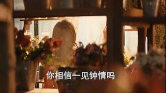 唐人街探案之玫瑰之名电影解说,唐人街探案ivy中文名