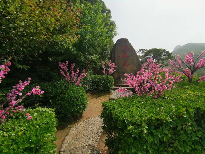 舟山桃花岛最佳旅游时间,舟山桃花岛游玩攻略