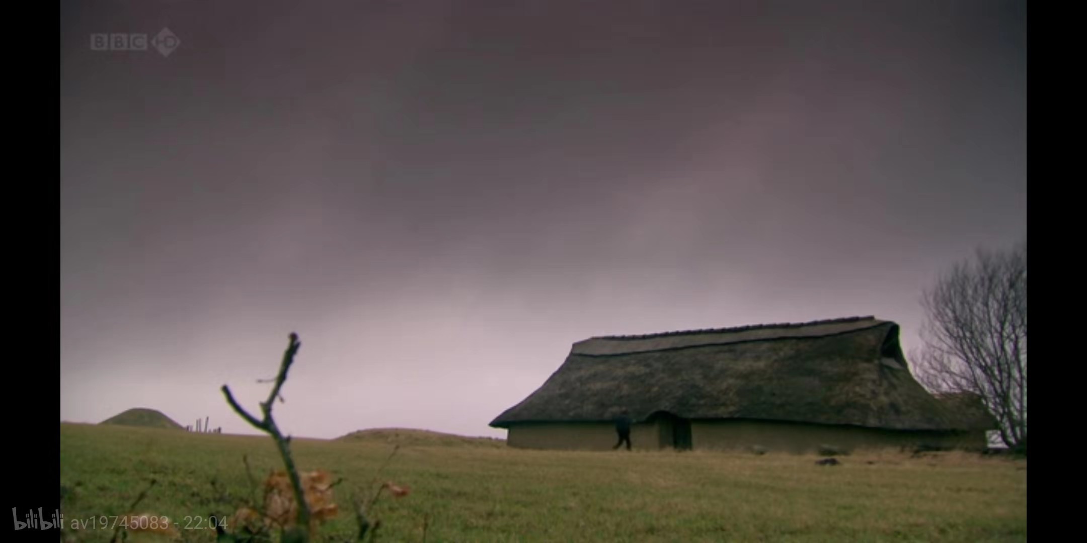 维京时代的真实生活,维京战吼和冰岛萨迦