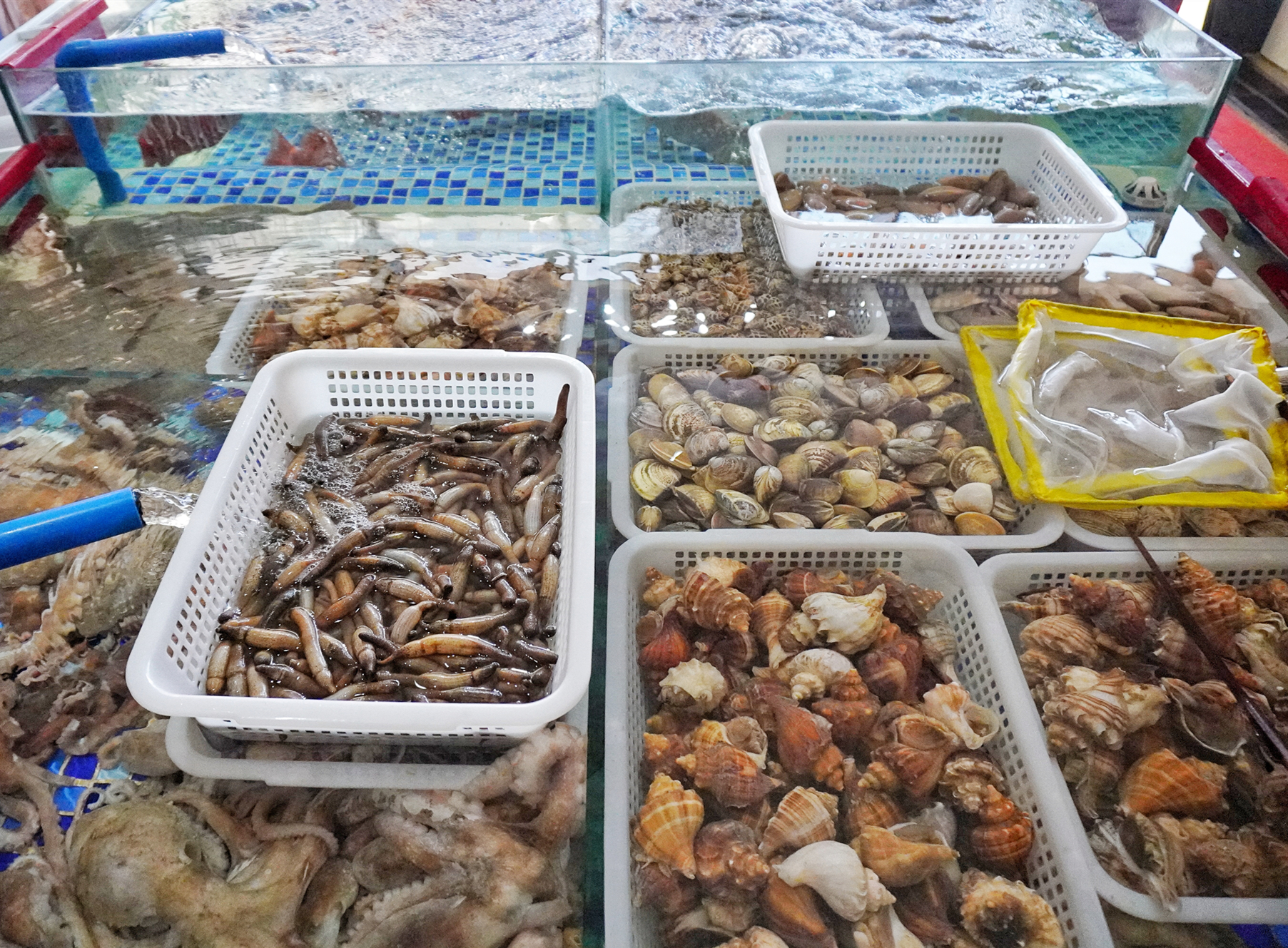 昆明海鲜大咖推荐珥季路,昆明24小时营业的海鲜大咖